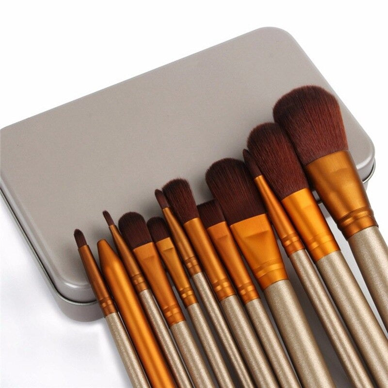 12 Pcs Aluminium Box Makeup Brush Set – Portable Beauty Tools for Eyeshadow, Lip Gloss & Flawless Eye Makeup